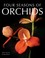 Go to record Four seasons of orchids