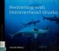 Go to record Swimming with hammerhead sharks