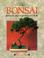 Go to record Bonsai : step by step to growing success
