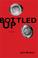 Go to record Bottled up : a novel