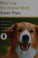 Go to record Reaching the animal mind : clicker training and what it te...