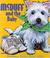 Go to record McDuff and the baby
