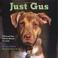 Go to record Just Gus : a rescued dog and the woman he loved