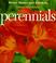Go to record Step-by-step perennials