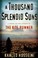 Go to record A thousand splendid suns