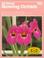 Go to record All about growing orchids