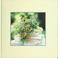 Go to record Bouquets : a year of flowers for the bride