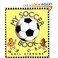 Go to record My soccer book