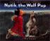 Go to record Nutik, the wolf pup