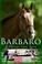 Go to record Barbaro : a nation's love story