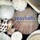 Go to record Seashells