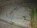 Go to record Orchard of hope : a novel
