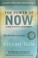 Go to record The power of now : a guide to spiritual enlightenment