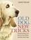 Go to record Old dog, new tricks : understanding and retraining older a...