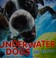 Go to record Underwater dogs : kids edition