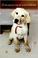 Go to record Marley and me love, life, and drywall repair with the worl...