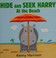 Go to record Hide and seek Harry at the beach