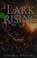 Go to record Lark rising