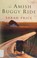 Go to record An Amish buggy ride