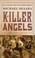 Go to record The killer angels