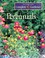 Go to record Perennials