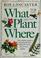Go to record What plant where