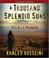 Go to record A thousand splendid suns