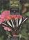 Go to record Butterfly gardening for the South