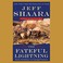Go to record The fateful lightning a novel of the Civil War