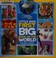 Go to record Little kids' first big book of the world