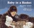 Go to record Baby in a basket