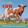 Go to record The complete cow