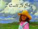 Go to record I call it sky