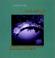 Go to record Remembering well : rituals for celebrating life and mourni...