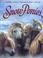 Go to record Snow ponies