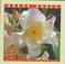 Go to record Shrub roses