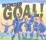 Go to record Wonder goal!