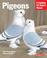 Go to record Pigeons : everything about purchase, care, management, die...