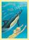 Go to record Swimming with dolphins