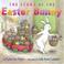 Go to record The story of the Easter Bunny