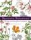 Go to record Beautiful botanicals : painting and drawing flowers and pl...