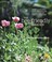 Go to record The bee-friendly garden : design an abundant, flower-fille...
