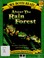 Go to record About the rain forest