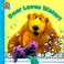 Go to record Bear loves water