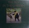 Go to record The boy in the garden