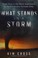 Go to record What stands in a storm : three days in the worst superstor...