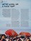 Go to record Rock art! : painting and crafting with the humble pebble