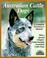 Go to record Australian cattle dogs : everything about purchase, care, ...