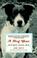 Go to record A dog year : twelve months, four dogs, and me