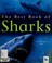 Go to record The best book of sharks